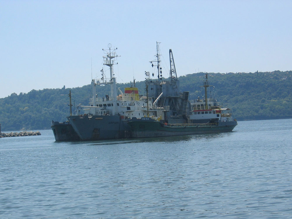 Varna Limanı önünde gemiler