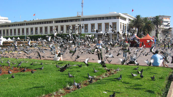 V. Muhammed Meydanı’nda güvercinler