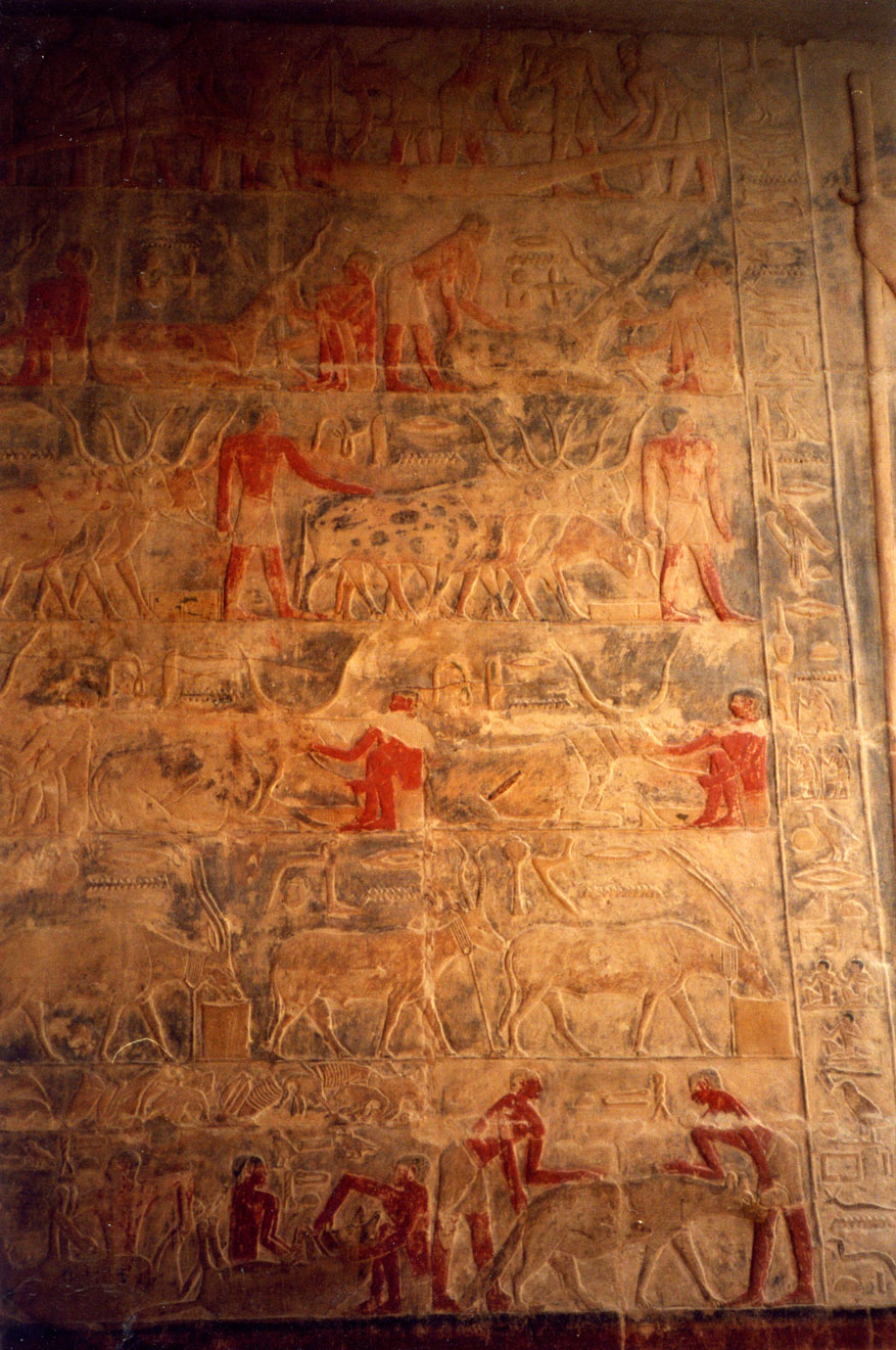 Mezar içerisindeki duvar resimlerinin bir örneği