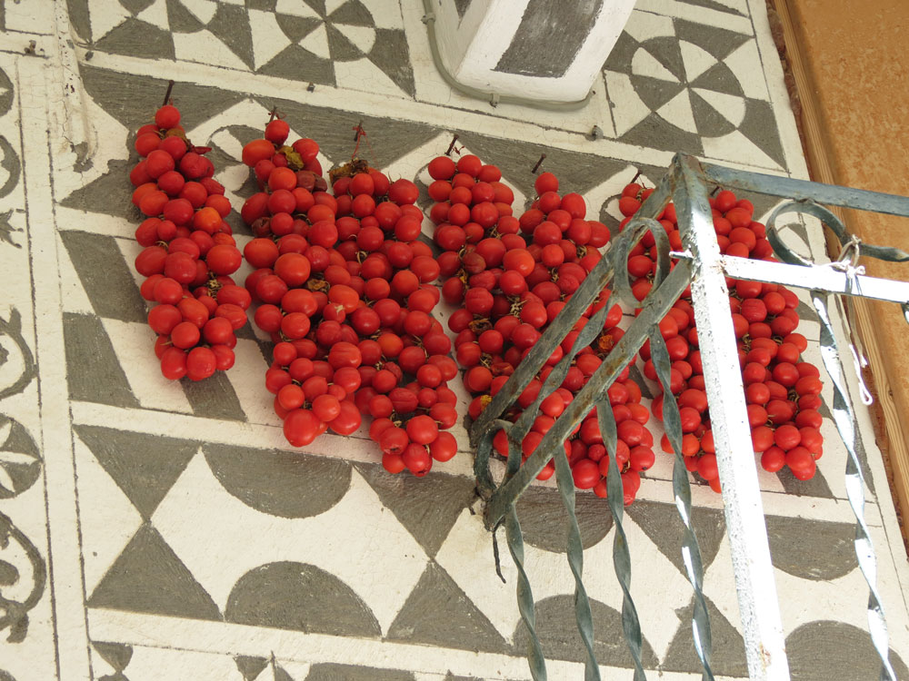Pirgi Köyü'nde  kurutulan domatesler