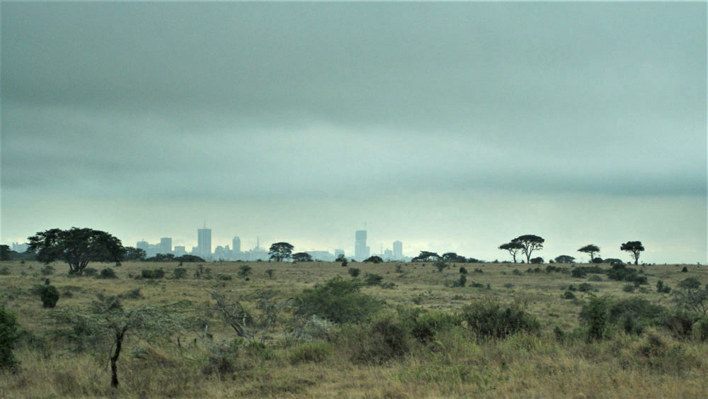Nairobi Milli Parkı'ndan şehre bakış...