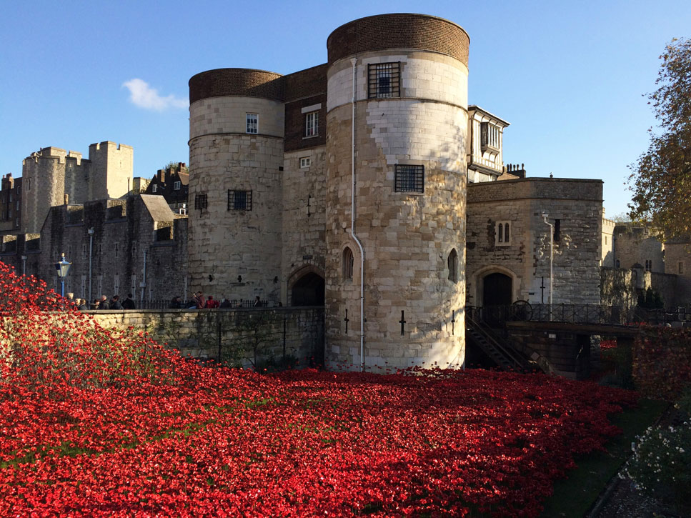 I. Dünya Savaşı'nın başlangıcının 100. yıldönümü vesileyle 2014’te Londra Kalesi'nin girişine serilen 888.246 kırmızı seramik gül, bu savaşta hayatını kaybeden İngiltere ve Kolonilerinden askerleri temsil ediyor